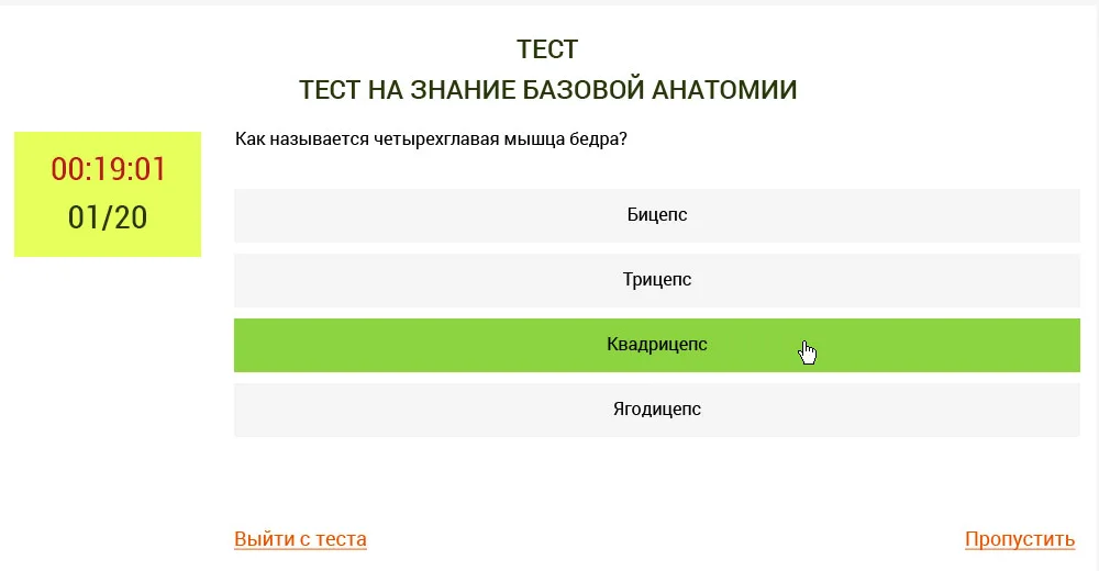 Экран теста на знание анатомии с таймером